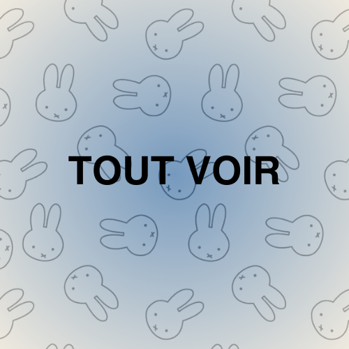 Tout Voir
