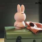 Tirelires miffy