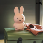 Tirelires miffy